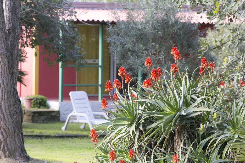 Residence Sa Pintadera Càbras Δωμάτιο φωτογραφία